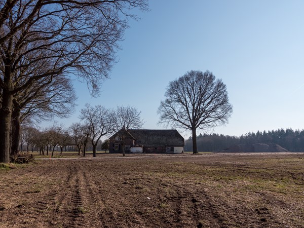 Medium property photo - Steunenbergerweg, 8121 RJ Olst